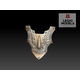Sanguinary codpiece armour