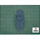 Nuns Relics Shield