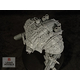 Sons of Impi Armour Kit + free hips